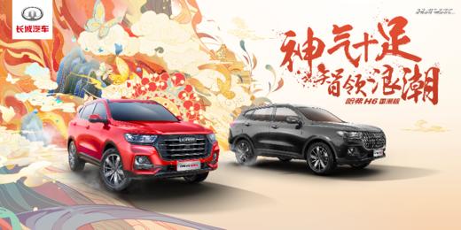 怀化生晖哈弗4S店（展示券） 商品图9