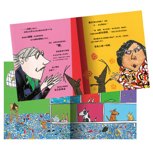 (仓发) 我想有个家 海豚绘本花园平装软皮封面/长江少年儿童出版社/[英]罗伦·乔尔德/9787556083367 商品图3