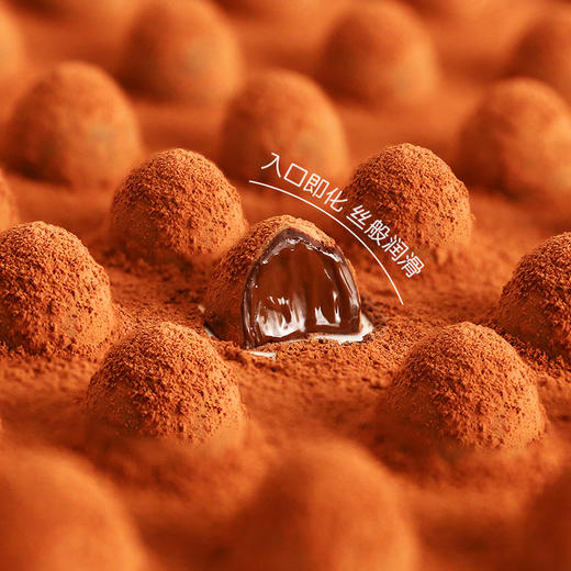 诺梵松露形巧克力礼盒装送女友情人节礼物 商品图6