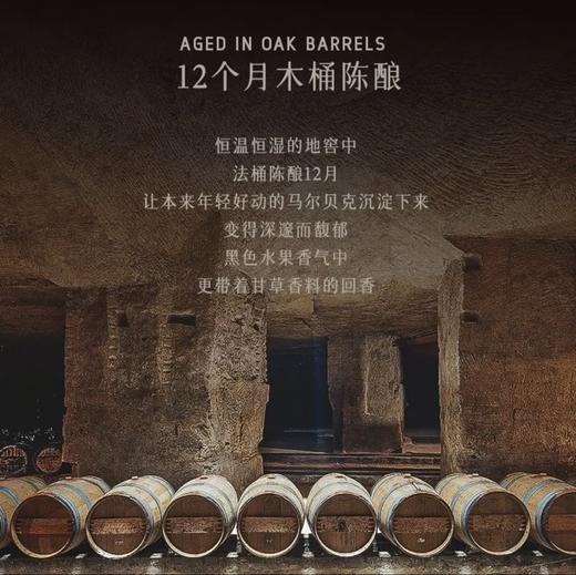 【国际双银奖认定丨黑酒马尔贝克】萨拉庄园马尔贝克干红葡萄酒 AOC等级 13.5%vol 商品图5