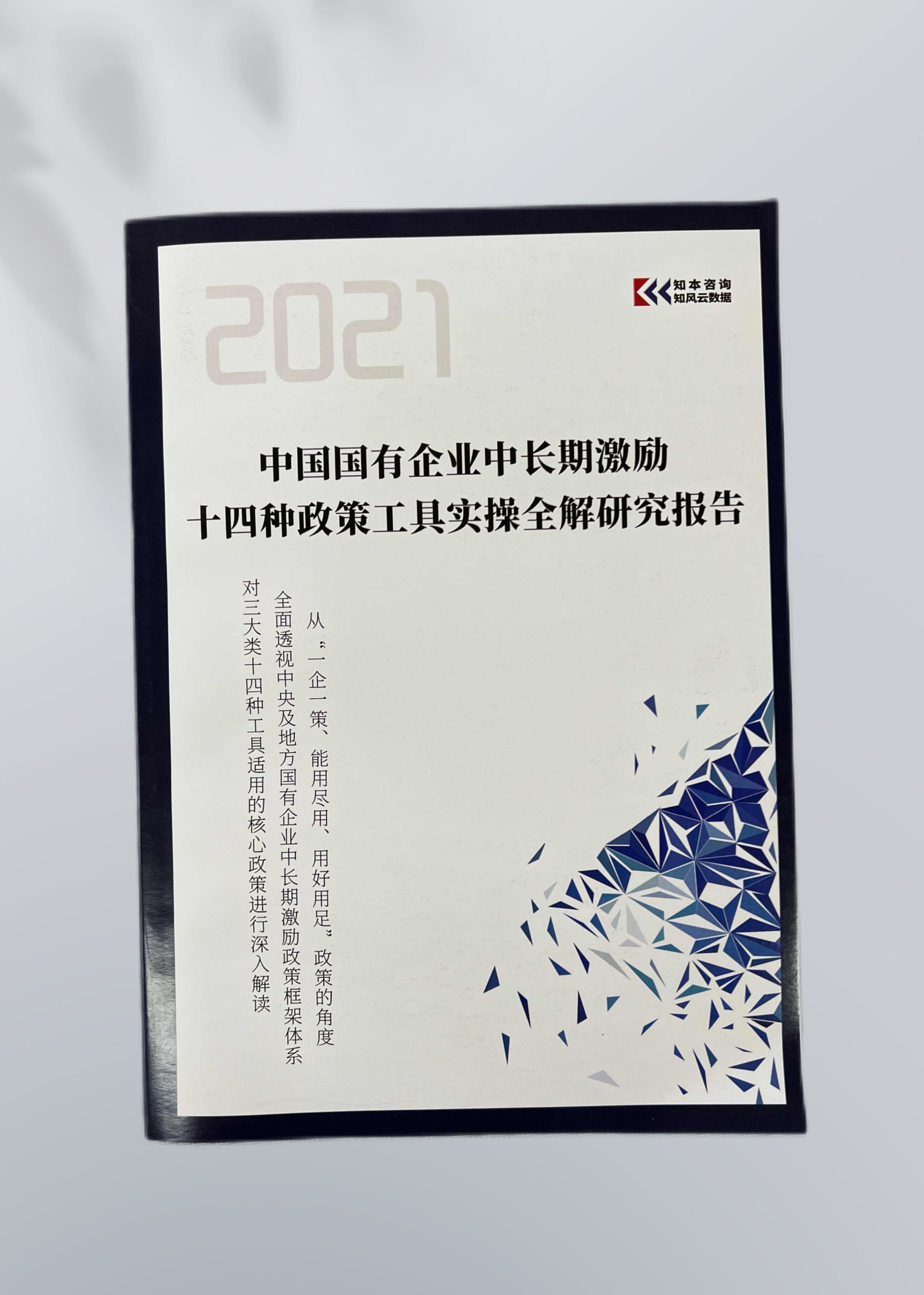 《中国国有企业中长期激励政策工具实操全解研究报告》（2021）