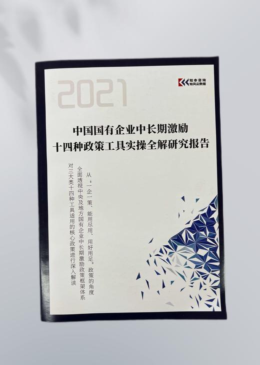 《中国国有企业中长期激励政策工具实操全解研究报告》（2021） 商品图0