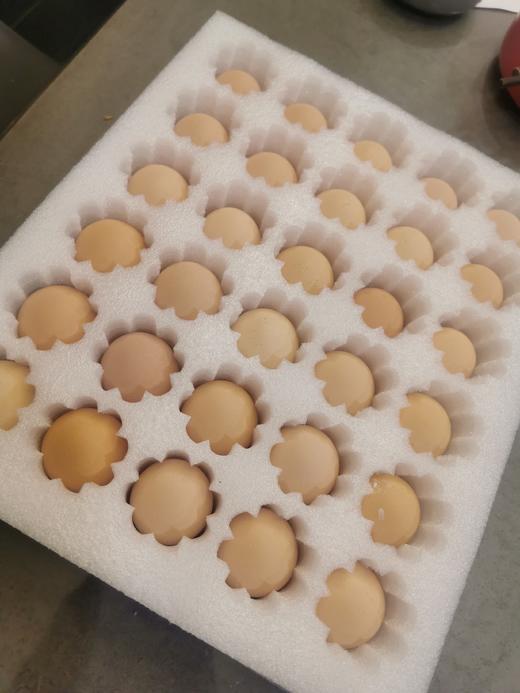 黑毛土鸡蛋  60枚/盒（家庭分享装） 商品图2