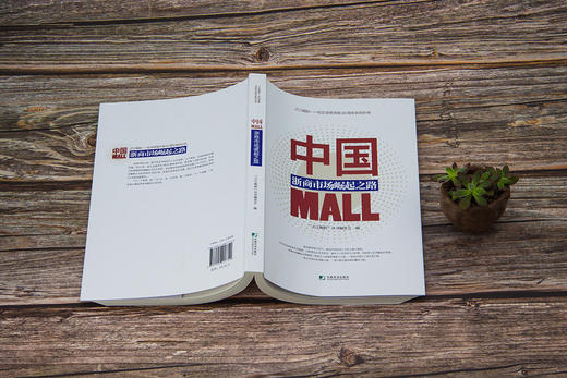 (仓发) 中国MALL：浙商市场崛起之路/中国市场出版社/9787509217740 商品图8