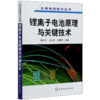 锂离子电池原理与关键技术/化学电源技术丛书 商品缩略图0