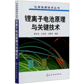 锂离子电池原理与关键技术/化学电源技术丛书