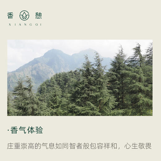 「课程·单方油」XIANGQI香憩︱喜马拉雅雪松精油 5ml/瓶 商品图1