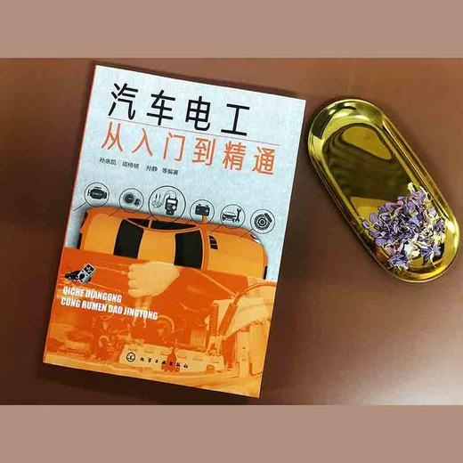 (仓发) 汽车电工从入门到精通/化学工业出版社有限公司/孙余凯/9787122333933 商品图2