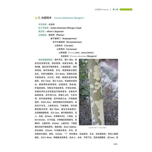 三衢山喀斯特地貌原生态树木 /徐正浩/陈中平/陈新建/季卫东/余黎红等/浙江大学出版社 商品图5