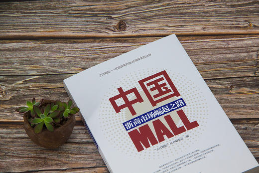 (仓发) 中国MALL：浙商市场崛起之路/中国市场出版社/9787509217740 商品图2