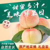 无锡阳山水蜜桃 8个装 大果单颗超5两 商品缩略图2