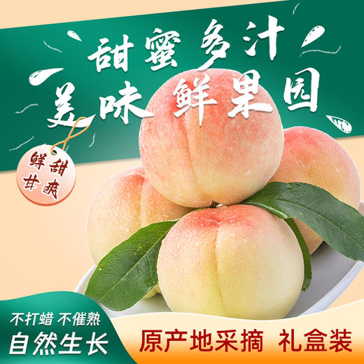 无锡阳山水蜜桃 8个装 大果单颗超5两 商品图2