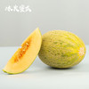 新疆冰淇淋 蜜瓜多规格新疆顺丰陆运发货 商品缩略图1