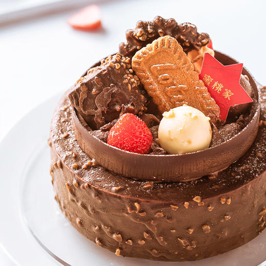 马达加斯加--香草巧克力冰激凌蛋糕【意式冰激凌 香巧风味】 商品图0