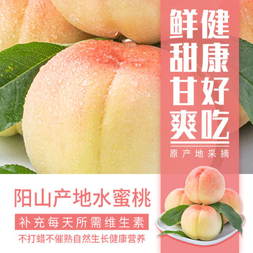 无锡阳山水蜜桃 8个装 大果单颗超5两 商品图4