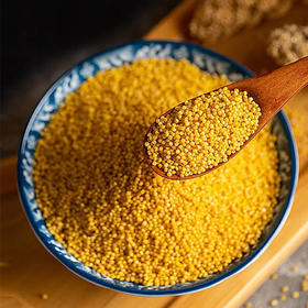  你是从这个时期走过来的吗？ 