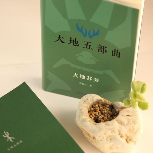 (仓发) 大地五部曲（回望历史，体察当下，叩问未来。书写中国大地的宏大史诗。谢冕、秦兆基、邹岳汉作序推荐）/山东人民出版社/罗长江/9787209135115 商品图3