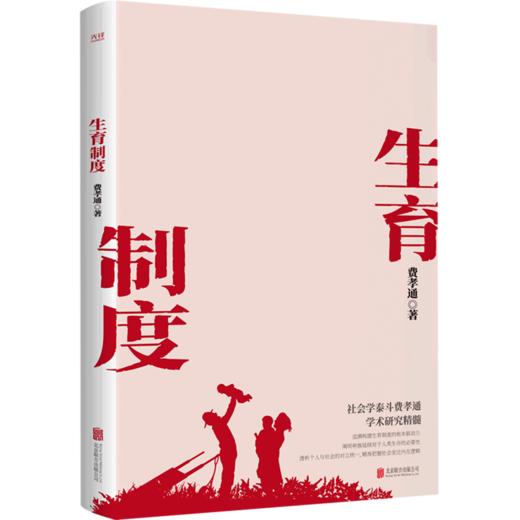 生育制度 商品图0