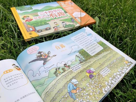 (仓发) 二十四节气就是这么有趣（精）/中华书局/严美鹏/9787101152883 商品图1