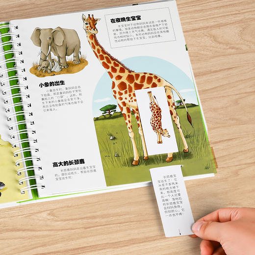 乐乐趣 科普立体书 好玩的交通工具+好玩的动物宝宝 商品图3