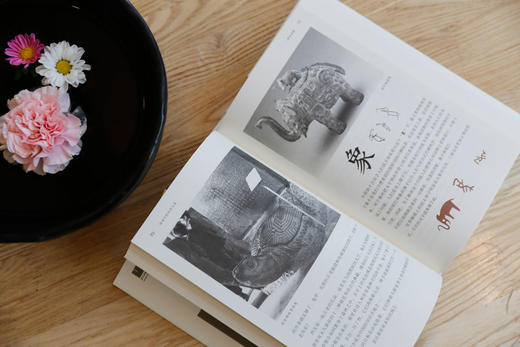 (仓发) 给孩子系列05：给孩子的汉字王国/中信出版社，中信出版集团/[瑞典]林西莉/9787508664972 商品图4