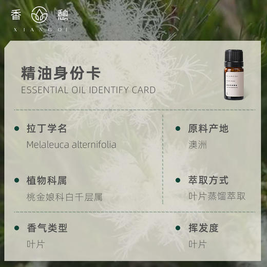 「课程·单方油」XIANGQI香憩︱澳洲茶树精油 5ml/瓶 商品图2