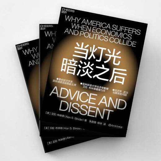 湛庐丨当灯光暗淡之后 商品图2