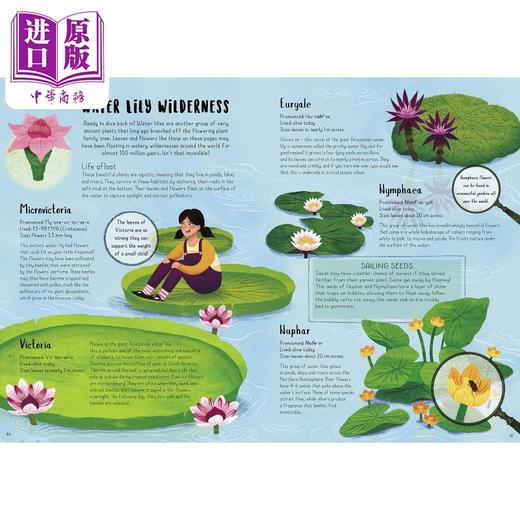 【中商原版】When Plants Took Over the Planet 当植物占领地球时 植物进化的神奇故事 英文原版 科普童书 Chris Thorogood 商品图2