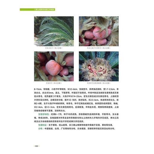 三衢山喀斯特地貌引种植物/徐正浩/陈中平/陈新建/季卫东/余黎红等/浙江大学出版社 商品图3