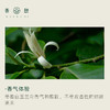 「课程·单方油」XIANGQI香憩︱白玉兰叶精油 5ml/瓶 商品缩略图1