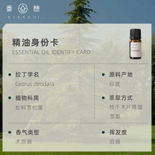 「课程·单方油」XIANGQI香憩︱喜马拉雅雪松精油 5ml/瓶 商品图2