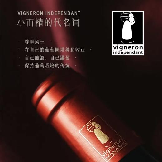 【国际双银奖认定丨黑酒马尔贝克】萨拉庄园马尔贝克干红葡萄酒 AOC等级 13.5%vol 商品图3