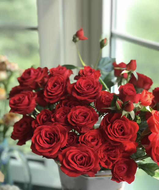 【市场多头】霓虹泡泡 红色 10支/扎 约50公分 商品图6