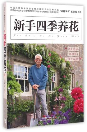 新手四季养花