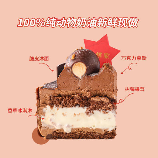马达加斯加--香草巧克力冰激凌蛋糕【意式冰激凌 香巧风味】 商品图2