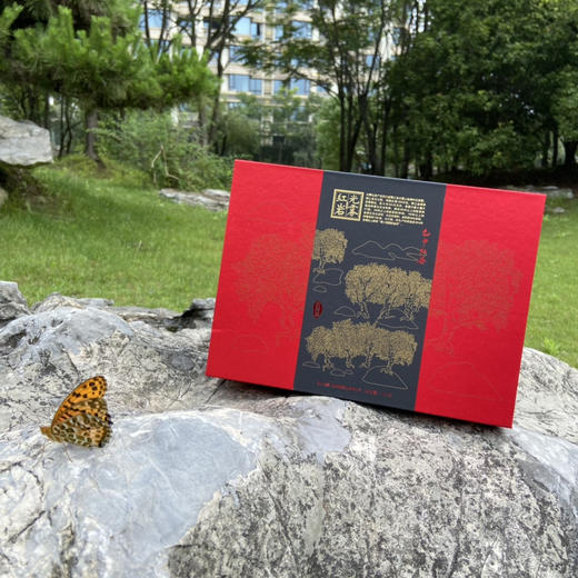 南江大叶茶明代贡茶千年古树红茶绿茶有机欧盟标准礼盒装 商品图1