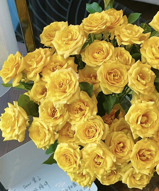 【市场多头】梦幻芭比  10支/扎 BC级 商品图1