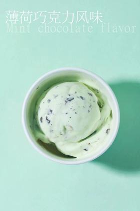 薄荷巧克力风味120g（请4盒8盒12盒拍，口味不限)