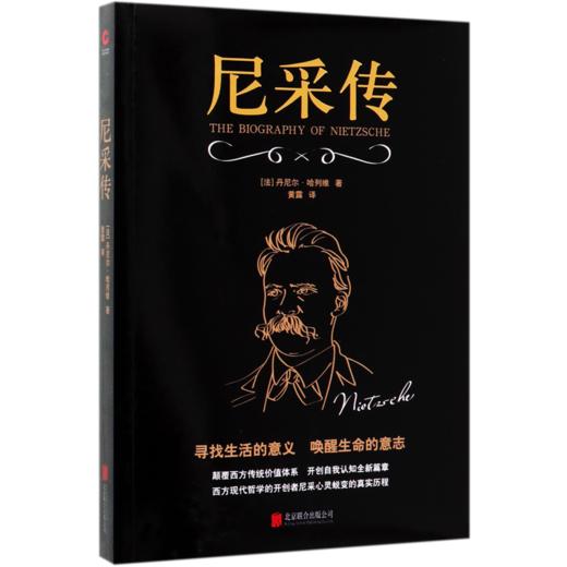 尼采传 商品图0