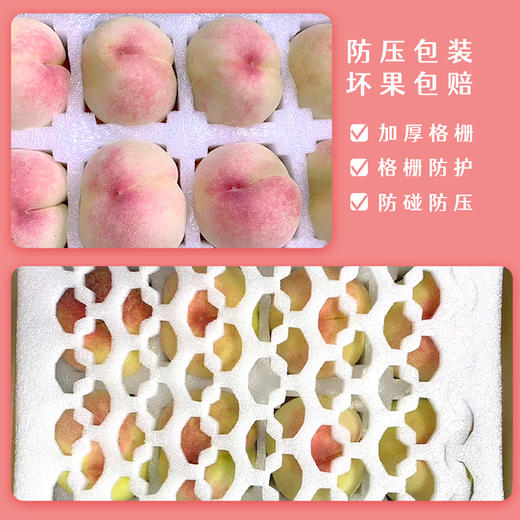 无锡阳山水蜜桃 8个装 大果单颗超5两 商品图10