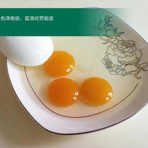好咯牌 鸽蛋30枚 商品图1