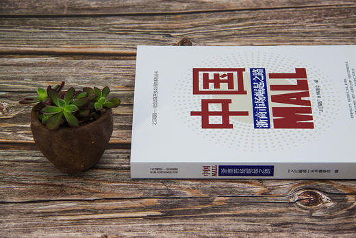 (仓发) 中国MALL：浙商市场崛起之路/中国市场出版社/9787509217740 商品图3