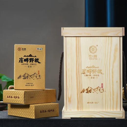 中茶安化黑茶金花茯砖茶崖畔野放九龙池茯茶 商品图0