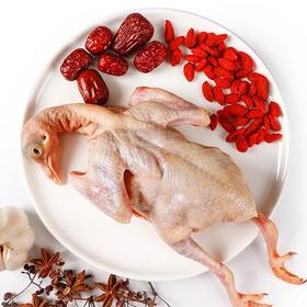 好咯牌乳鸽  300g*3