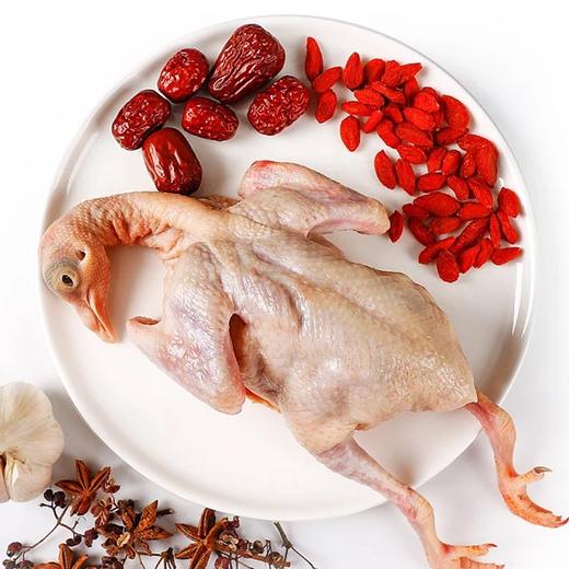 好咯牌乳鸽  300g*3 商品图0