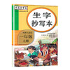 (仓发) 司马彦字帖 生字抄写本一年级上册·部编版/一年级语文练字帖上册 描红字帖 铅笔字 规范字楷书 写字课课练 手写体 一年级字帖/湖北教育出版社/9787556431205 商品缩略图9