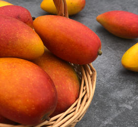 四川攀枝花彩虹芒礼盒