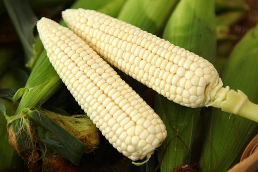白糯玉米3斤 商品图4