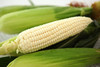 白糯玉米3斤 商品缩略图2