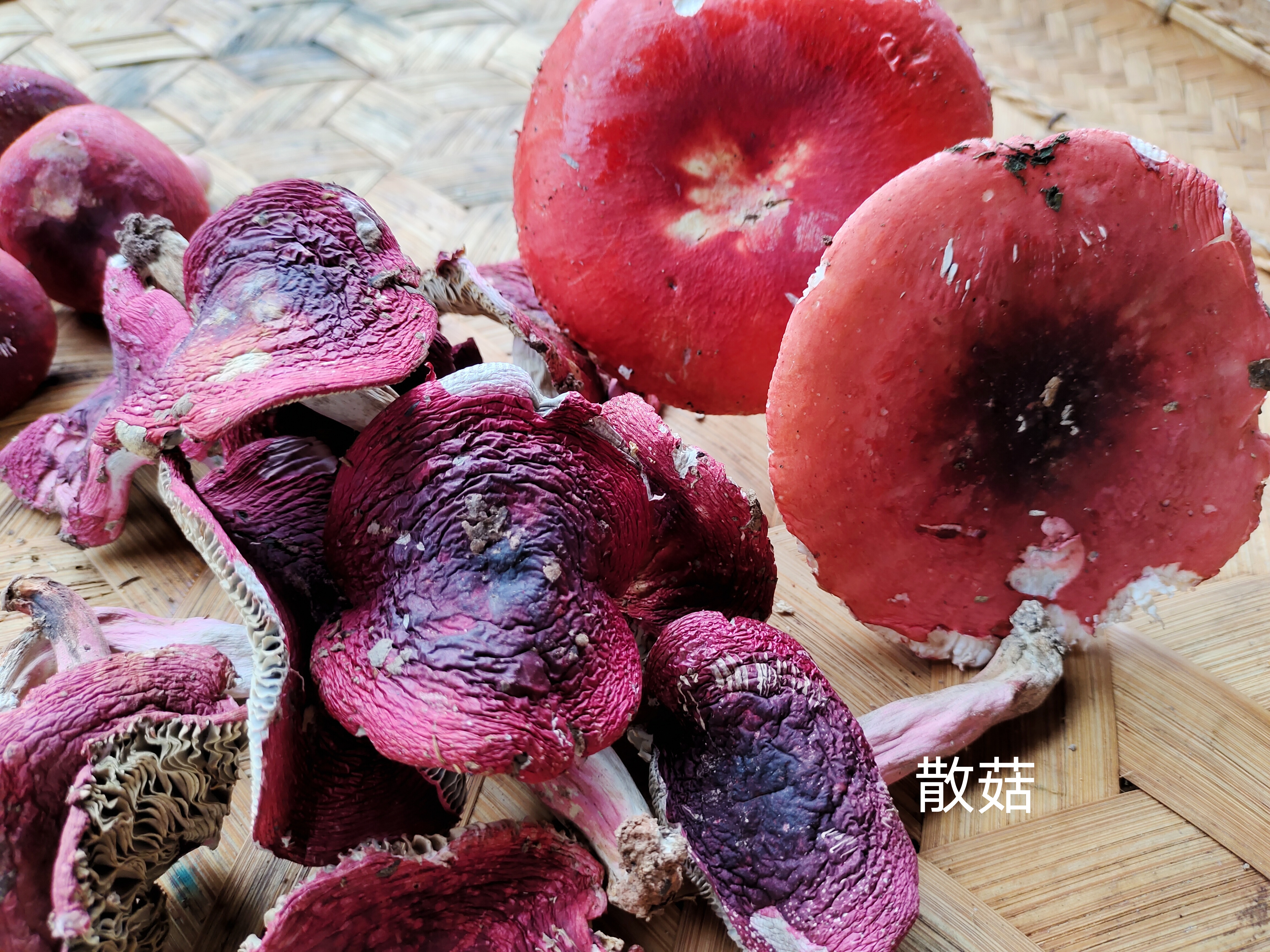 安叶家自产红菇100g/份）/200g